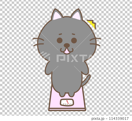 体重計にのって驚くくろねこ 体重計にのって驚くくろねこ 114339017