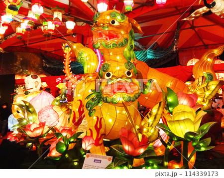 夜に輝く黄金のランタン 114339173