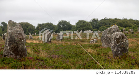 The Carnac stones in Brittany The Carnac stones in Brittany 114339208