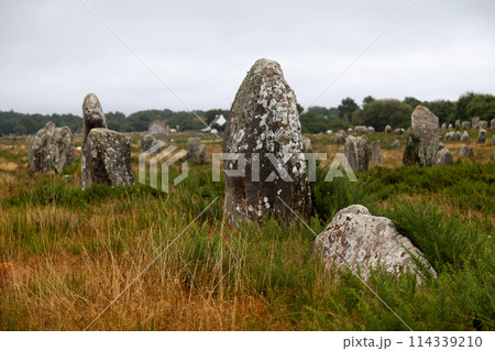 The Carnac stones in Brittany The Carnac stones in Brittany 114339210