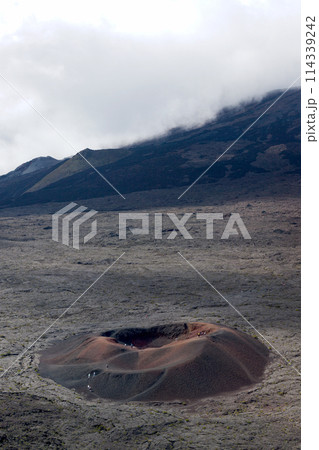 Formica Leo of the Piton de la Fournaise in Reunion island 114339242
