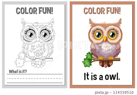 Color Fun: Educational Owl Illustrations 114339510