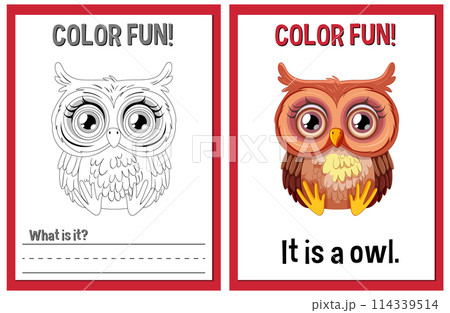 Color Fun Owl Illustration Activity 114339514