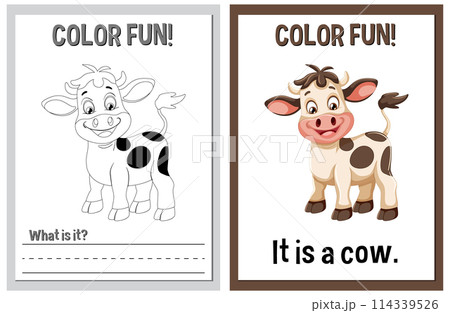 Color Fun Educational Cow Illustration 114339526