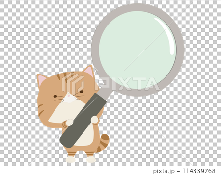 Brown tabby cat holding a magnifying glass Brown tabby cat holding a magnifying glass 114339768