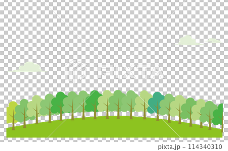 緑の綺麗な自然豊かな背景イラスト 114340310