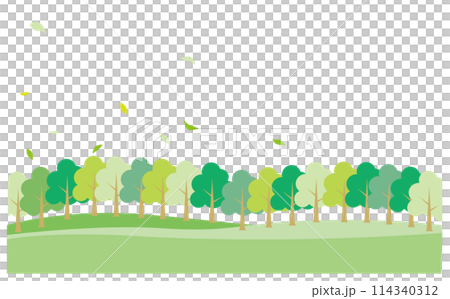 緑の綺麗な自然豊かな背景イラスト 114340312