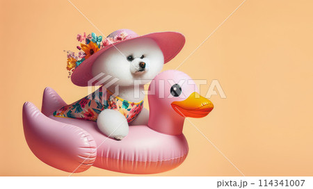Funny dog wearing summer fashion with rubber ring on pastel background. Summer Vacation Concept. 114341007