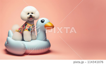 Funny dog wearing summer fashion with rubber ring on pastel background. Summer Vacation Concept. Funny dog wearing summer fashion with rubber ring on pastel background. Summer Vacation Concept. 114341076
