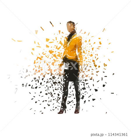 Business woman standing, isolated low poly vector illustration with shatter effect, front view Business woman standing, isolated low poly vector illustration with shatter effect, front view 114341361