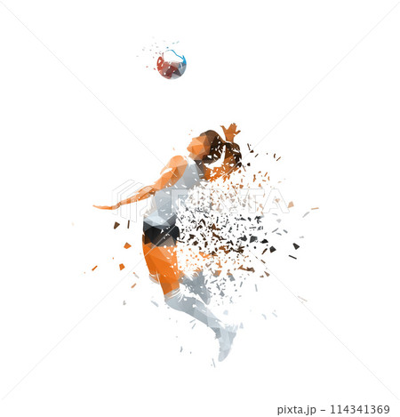 Volleyball player, woman, isolated low poly vector illustration with shatter effect, side view Volleyball player, woman, isolated low poly vector illustration with shatter effect, side view 114341369