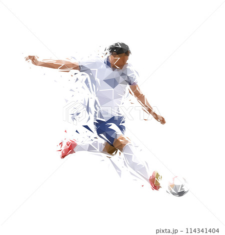 Football player kicking ball, isolated low poly illustration. Soccer logo 114341404