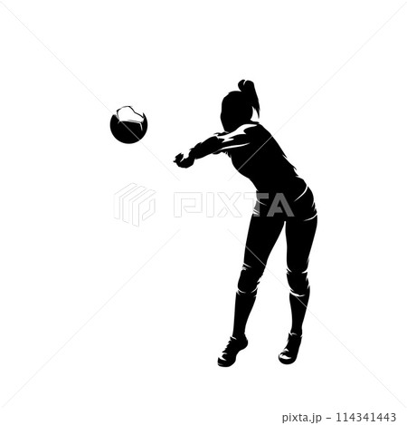 Women playing volleyball, isolated vector silhouette, female volleyball player 114341443