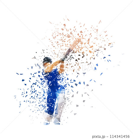 Cricket player, batsman cricketer, isolated low poly vector illustration with shatter effect Cricket player, batsman cricketer, isolated low poly vector illustration with shatter effect 114341456