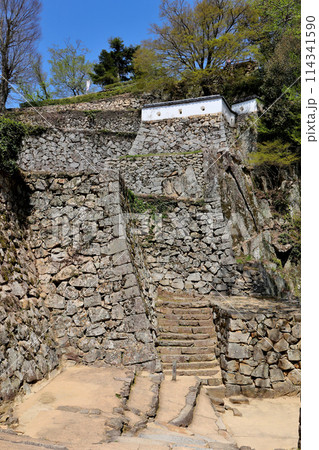 備中松山城の石垣の横にある小さな石段 114341590