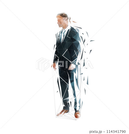 Businessman standing, isolated vector illustration, low poly geometric drawing. Man in suit Businessman standing, isolated vector illustration, low poly geometric drawing. Man in suit 114341790