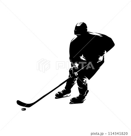 Ice hockey player, isolated vector silhouette, hockey logo 114341820