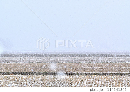 雪が降る田舎の風景 114341843