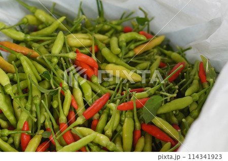 top view green and red chilli peppers in white plastic bag background, food, vegetable, nature top view green and red chilli peppers in white plastic bag background, food, vegetable, nature 114341923