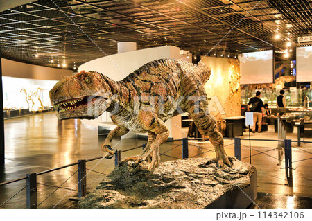 福井県立恐竜博物館(福井県) 福井県立恐竜博物館(福井県) 114342106