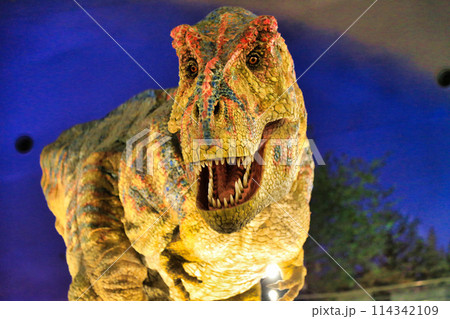 福井県立恐竜博物館(福井県) 福井県立恐竜博物館(福井県) 114342109