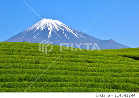 大淵笹場 114342144