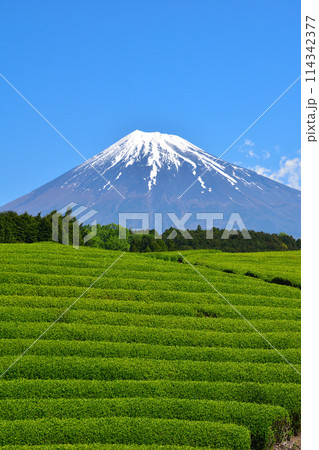 大淵笹場 大淵笹場 114342377