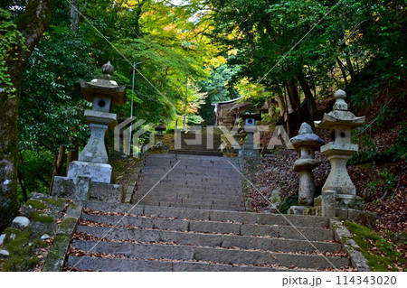 鳥取　諏訪神社　秋　紅葉 114343020