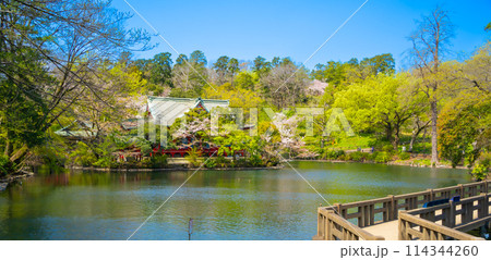 吉祥寺・井の頭恩賜公園 弁財天 吉祥寺・井の頭恩賜公園 弁財天 114344260