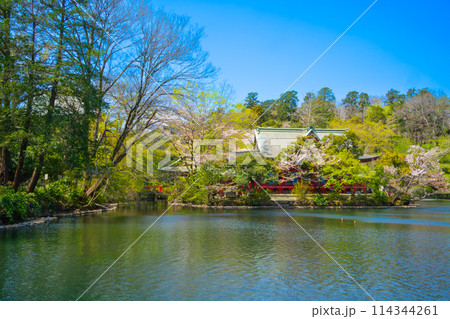 吉祥寺・井の頭恩賜公園 弁財天 114344261