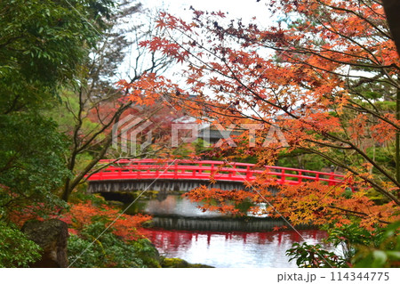 由志園 紅葉 島根 秋 由志園 紅葉 島根 秋 114344775