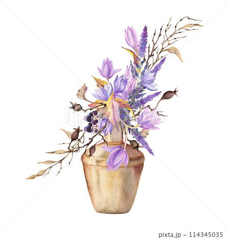 Hand drawn watercolor illustration shabby boho botanical flowers leaves. Crocus saffron rose hip veronica lavender berries in pottery vase. Bouquet isolated on white background. Design wedding, cards 114345035