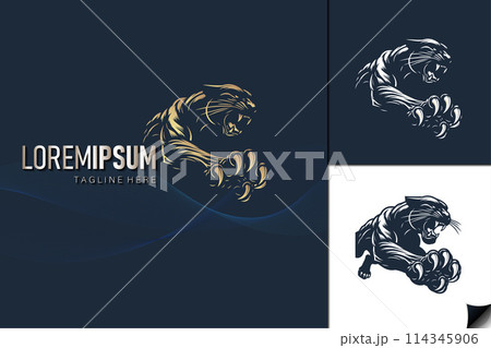 the image of a tiger the image of a tiger 114345906