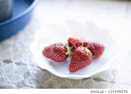 イチゴ いちご 苺 白バック とちおとめ 栃木 フルーツ 果実 イチゴ いちご 苺 白バック とちおとめ 栃木 フルーツ 果実 114346076