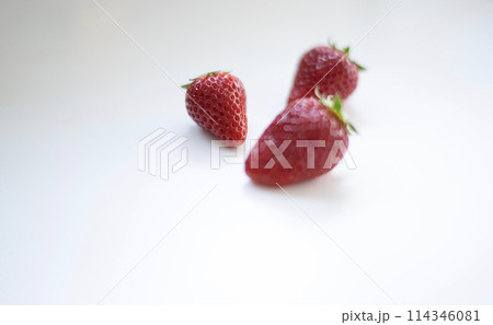 イチゴ　いちご　苺　白バック　とちおとめ　栃木　フルーツ　果実 114346081