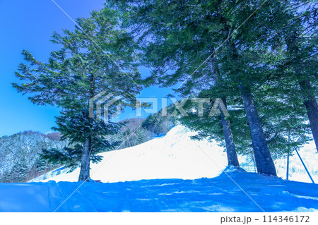 青空の林間コース、晴れた日のゲレンデ 114346172