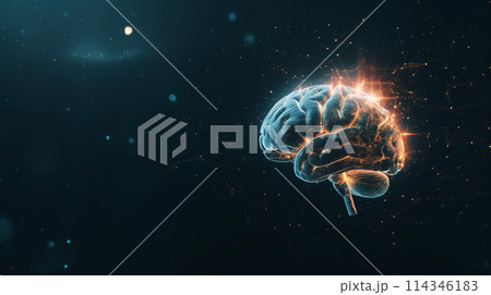 Computer Generated Human Brain Model 114346183