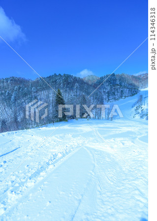 青空と新雪のゲレンデ 114346318