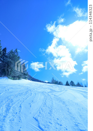 青空と新雪のゲレンデ 114346323