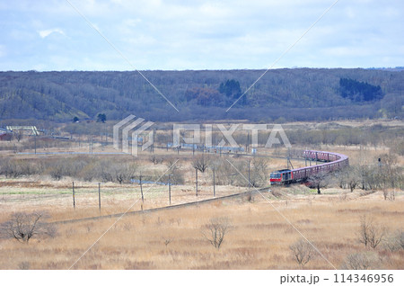 根室本線 尺別ー音別 JR貨物 DF200-53(鷲別) 根室本線 尺別ー音別 JR貨物 DF200-53(鷲別) 114346956