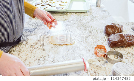 Using an adjustable rolling pin to roll out gingerbread cookie dough on the elegant marble counter in a modern kitchen, getting ready for festive holiday baking. 114347483