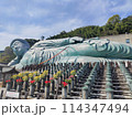 南蔵院涅槃像 114347494