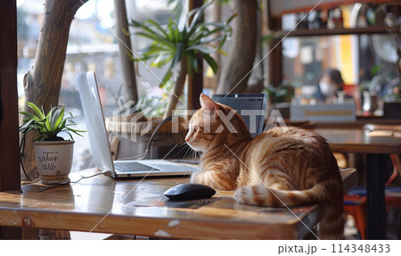 Cozy Home Office with Feline Companion 114348433