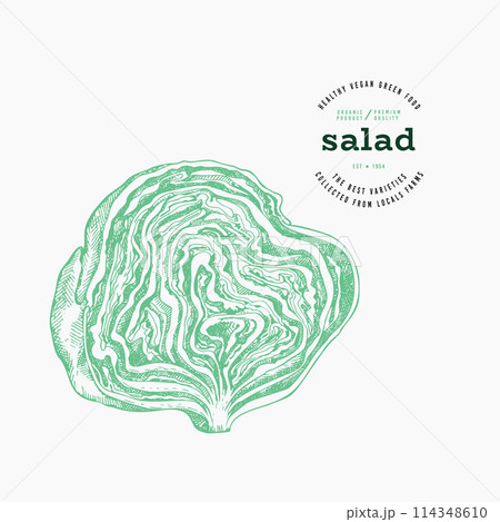 Vintage Style Lettuce Illustration. Green Iceberg Vegetable Illustration. Vector Hand Drawn Salad. Vintage Style Lettuce Illustration. Green Iceberg Vegetable Illustration. Vector Hand Drawn Salad. 114348610