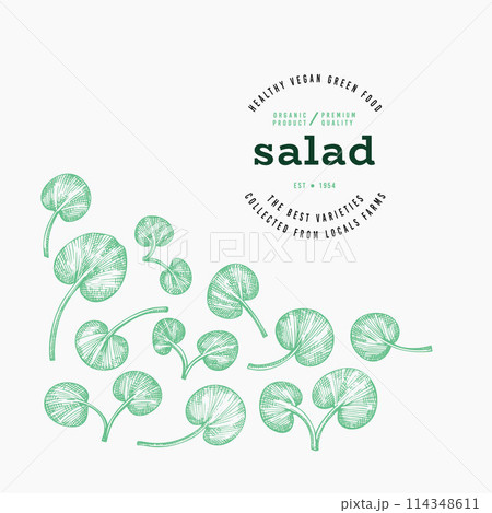 Vintage Style Watercress Illustration. Green Vegetable Illustration. Vector Hand Drawn Salad. 114348611