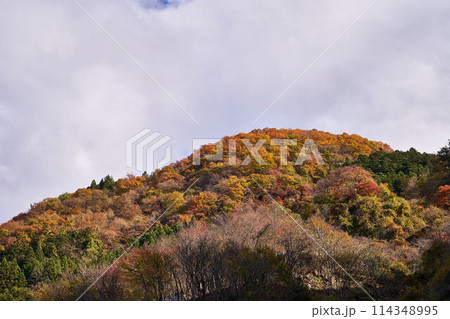 埼玉県秩父　浦山ダムからの景色 114348995