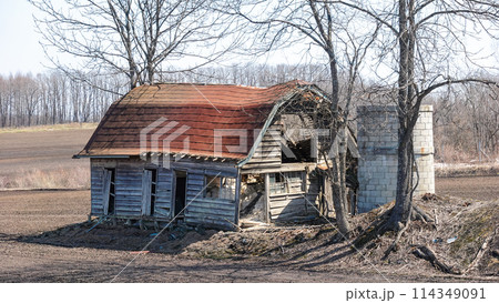 古い牛舎とサイロのある風景（北海道幕別町） 114349091