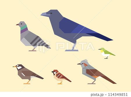 身近な鳥イラストセット(スズメ、メジロ、ムクドリ、ヒヨドリ、ハト、カラス) 身近な鳥イラストセット(スズメ、メジロ、ムクドリ、ヒヨドリ、ハト、カラス) 114349851