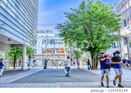 東京都世田谷区の都市風景 成城学園前駅 東京都世田谷区の都市風景 成城学園前駅 114350134