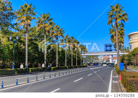 千葉県　浦安市舞浜の都市風景 114350288